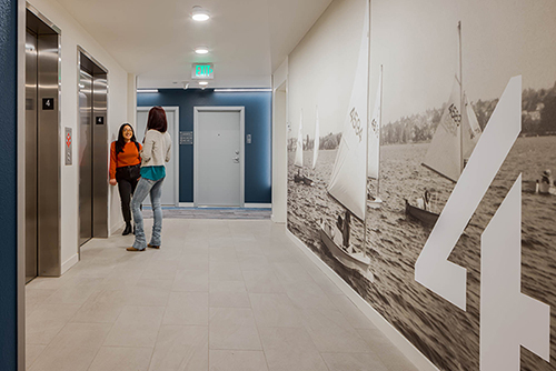 Wayfinding - The Teel